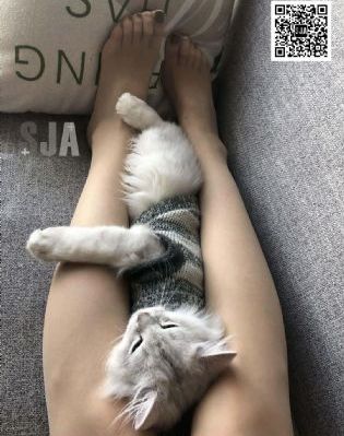 亚洲一区二区影视_4K高清电影在线
